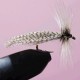 SEDGE RAM 68