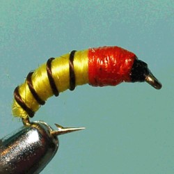 THYMA RAM 7