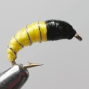 THYMA RAM 22