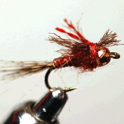 THYMA TUNG CUIVRE PHEASANT TAIL 2