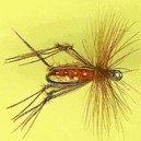 HOPPER ORANGE