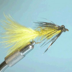 CHAINETTE RAM 16