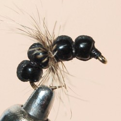ANT BLACK PERLE
