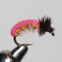 BABAROTTE PINK