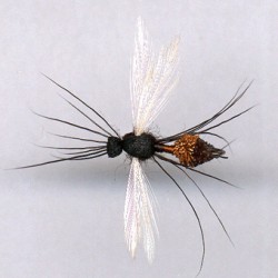 TERRESTRE RAM 21