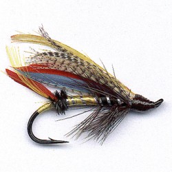 SAUMON RAM 3