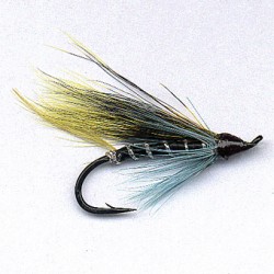 SAUMON RAM 9