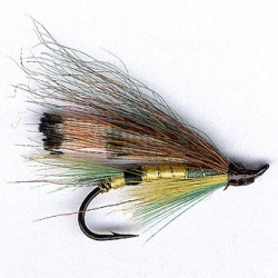 SAUMON RAM 15