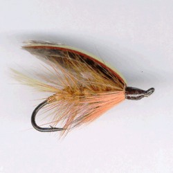 SAUMON RAM 35