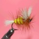 dry salmon ram 4