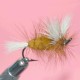 dry salmon ram 5