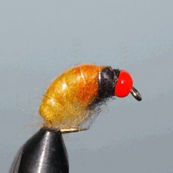 TK TUNG ORANGE RAM 1