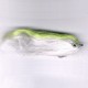SALTWATER RAM 6